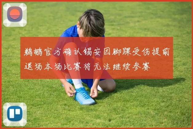 鹈鹕官方确认锡安因脚踝受伤提前退场本场比赛将无法继续参赛