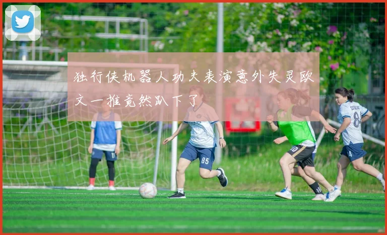 独行侠机器人功夫表演意外失灵欧文一推竟然趴下了