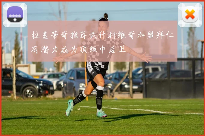 拉基蒂奇推荐武什科维奇加盟拜仁有潜力成为顶级中后卫