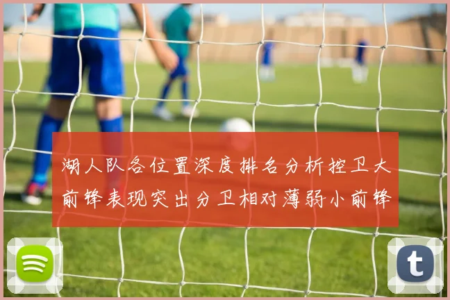 湖人队各位置深度排名分析控卫大前锋表现突出分卫相对薄弱小前锋与中锋处于中游水平